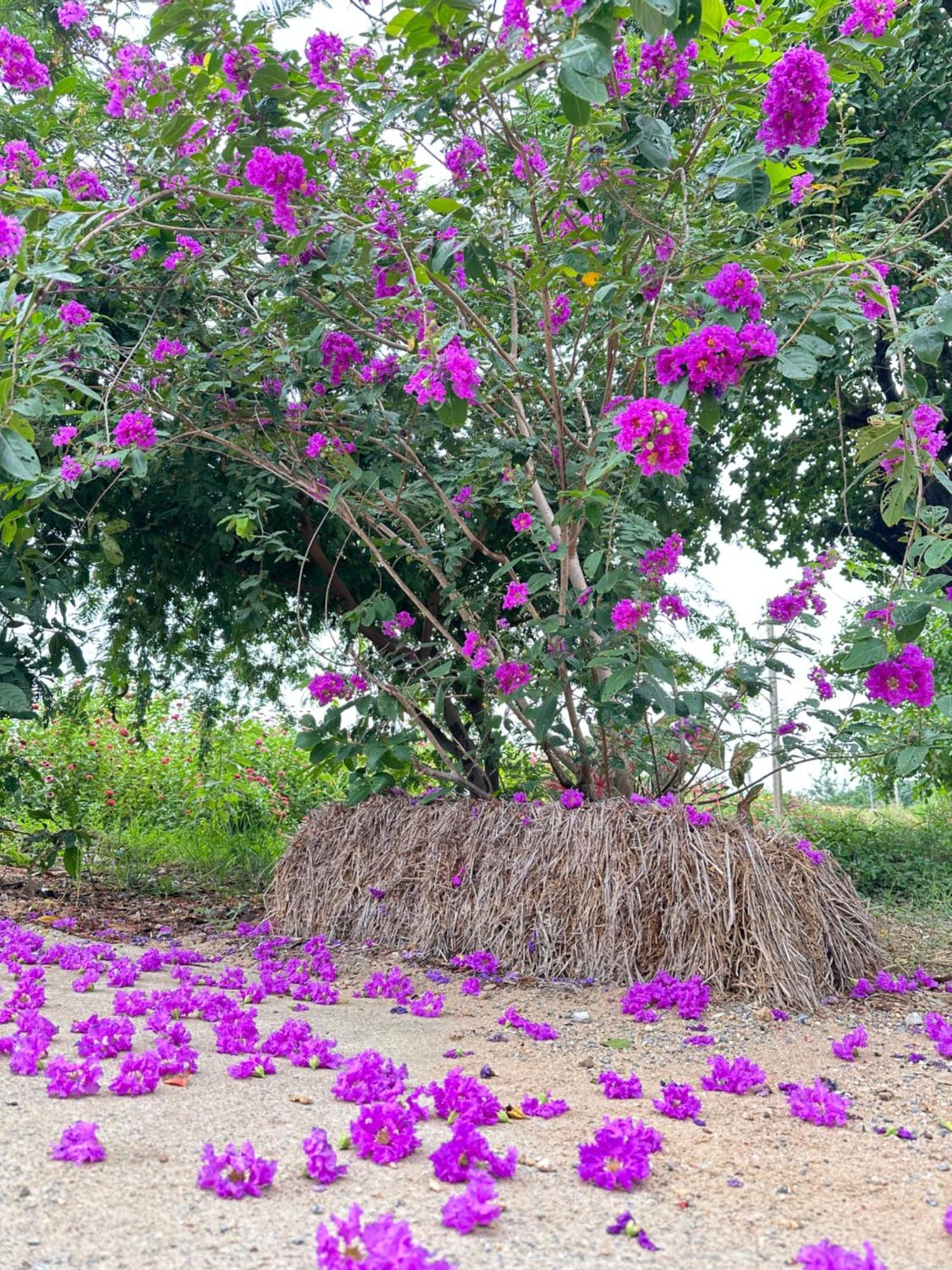 Ban Suweena Uthai Thani Exteriör bild