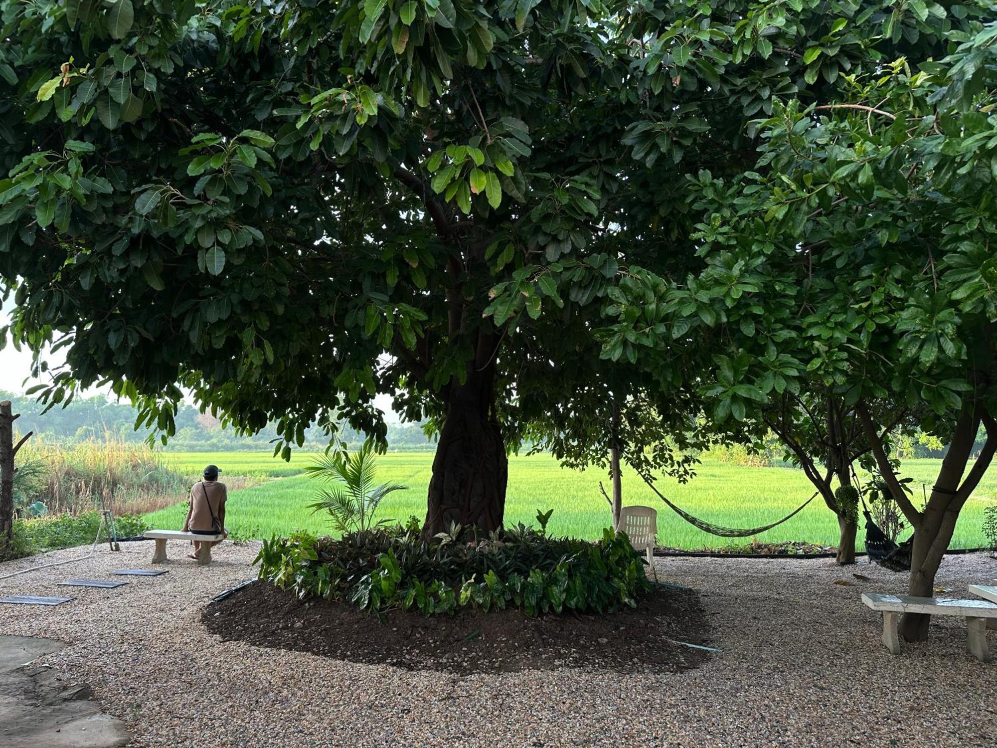 Ban Suweena Uthai Thani Exteriör bild